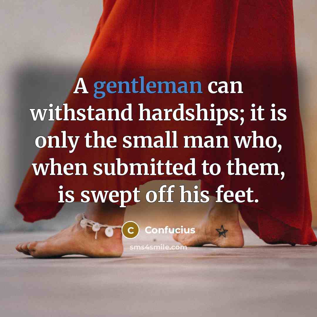 “A gentleman can withstand hardships; it is only the small man who, when submitted to them, is swept off his feet.” quote by Confucius