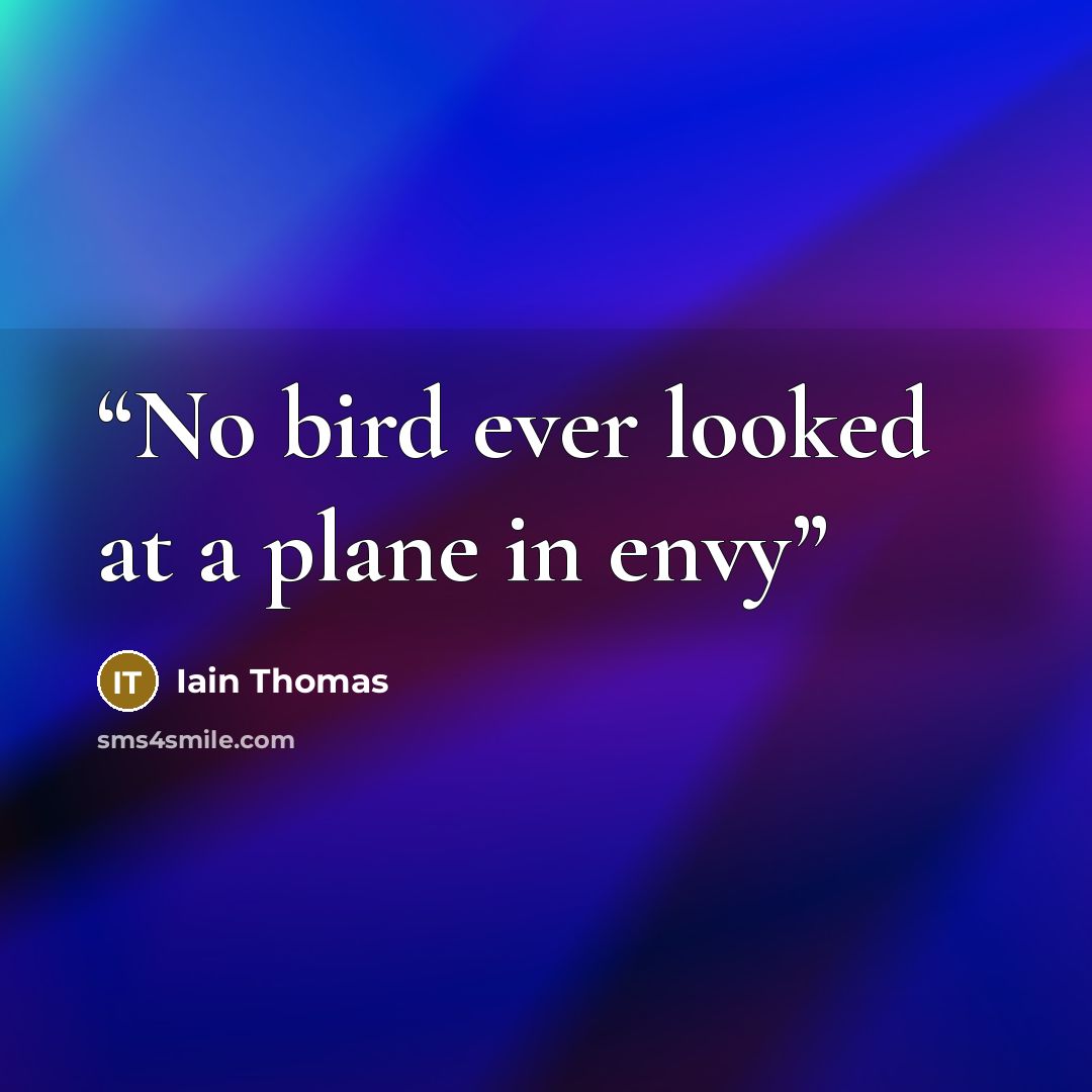 “No bird ever looked at a plane in envy” quote by Iain Thomas