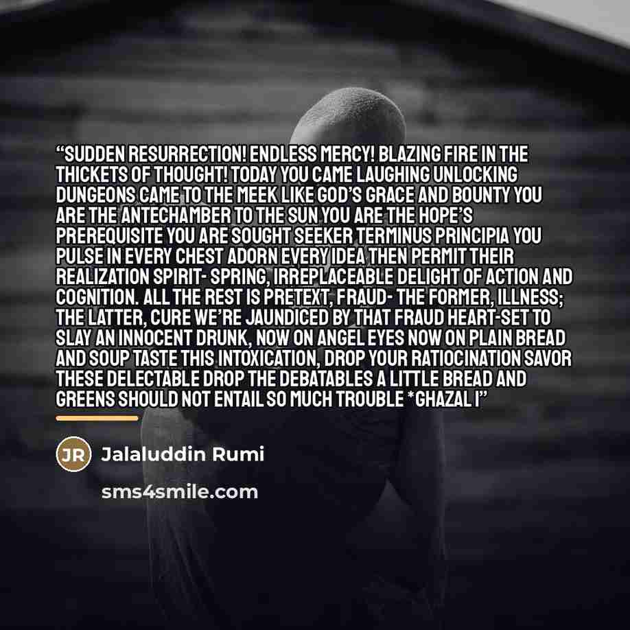 “SUDDEN RESURRECTION! Endless mercy! Blazing fire in the thickets of thought! Today you came laughing Unlocking dungeons Came to the meek Like god’s grace and bounty You are the antechamber to the sun You are the hope’s prerequisite You are sought Seeker Terminus Principia You pulse in every chest…” quote by Jalaluddin Rumi