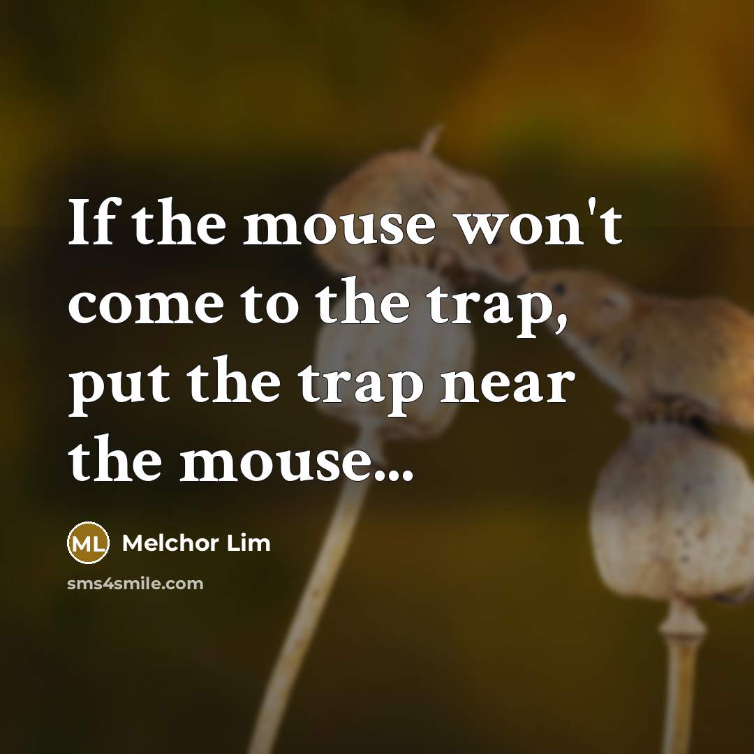 “If the mouse won't come to the trap, put the trap near the mouse...” quote by Melchor Lim