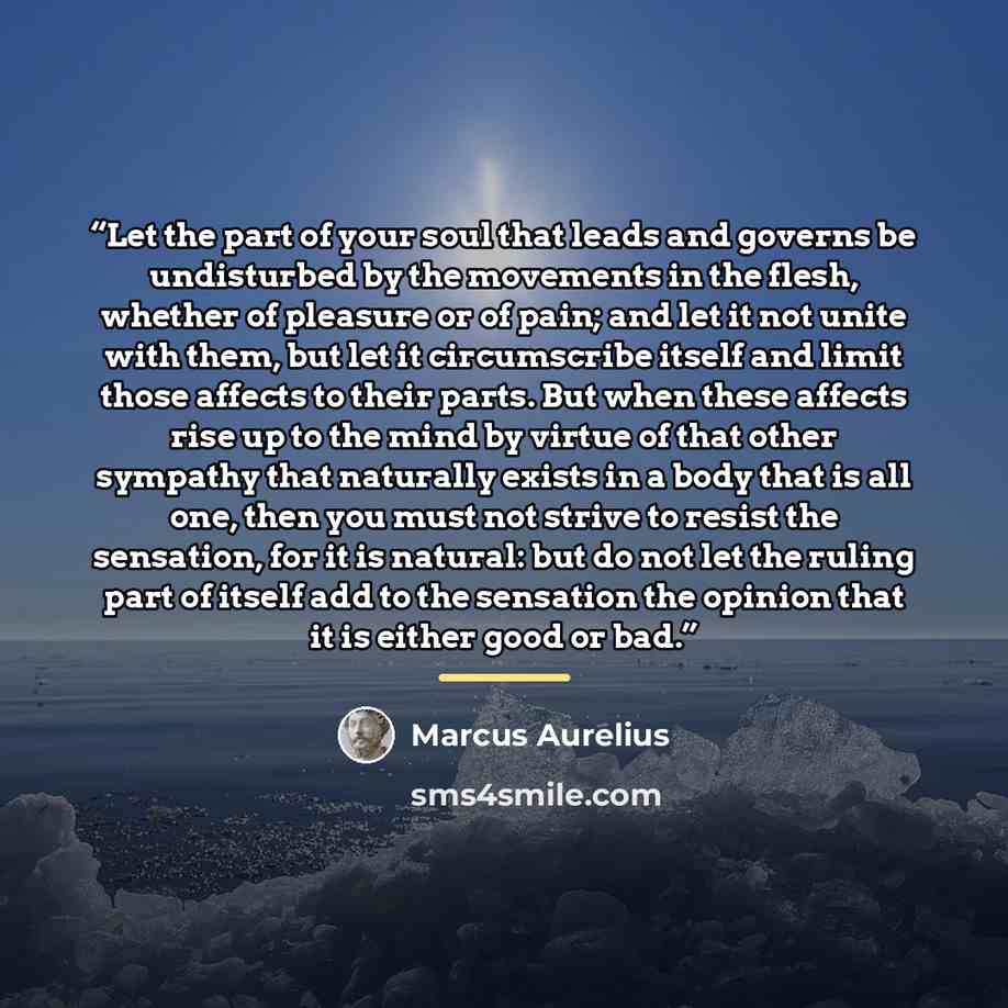 “Let the part of your soul that leads and governs be undisturbed by the movements in the flesh, whether of pleasure or of pain; and let it not unite with them, but let it circumscribe itself and limit those affects to their parts. But when these affects rise up to the mind by virtue of that other…” quote by Marcus Aurelius