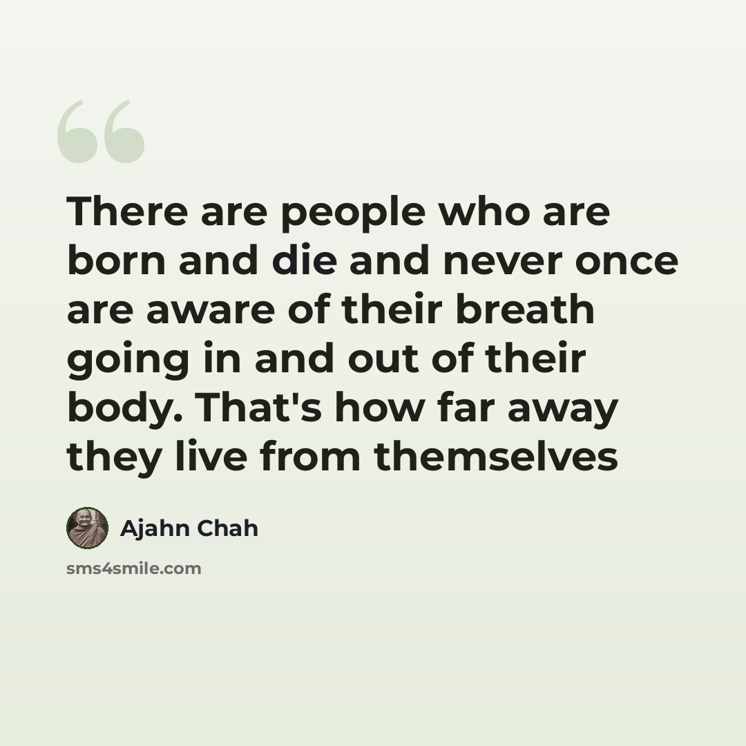 “There are people who are born and die and never once are aware of their breath going in and out of their body. That's how far away they live from themselves” quote by Ajahn Chah