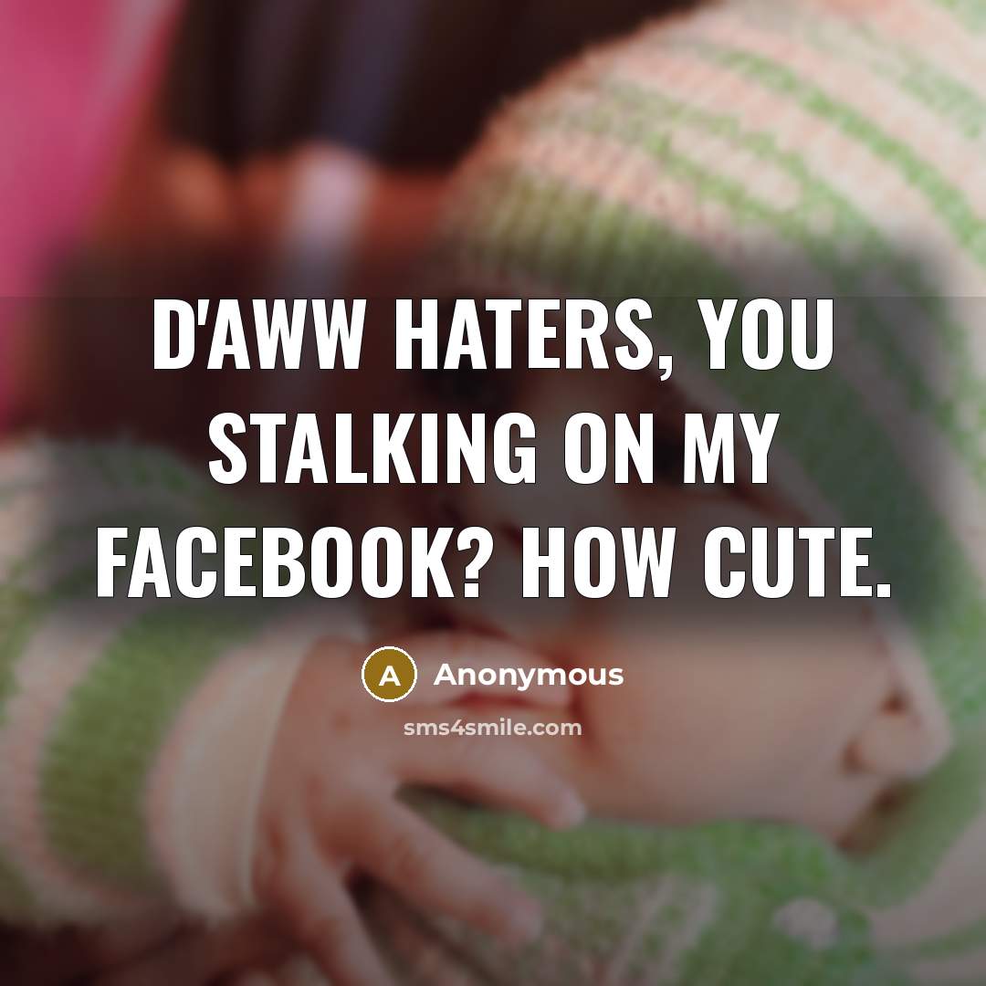 “D'aww haters, you stalking on my facebook? How cute.” quote by Anonymous