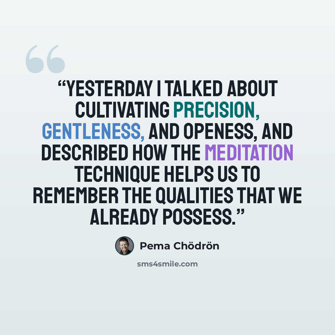 “Yesterday I talked about cultivating precision, gentleness, and openess, and described how the meditation technique helps us to remember the qualities that we already possess.” quote by Pema Chödrön