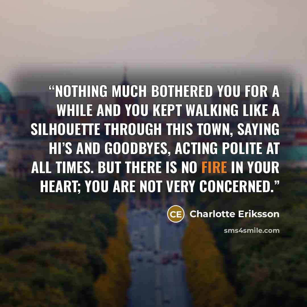 “Nothing much bothered you for a while and you kept walking like a silhouette through this town, saying hi’s and goodbyes, acting polite at all times. But there is no fire in your heart; you are not very concerned.” quote by Charlotte Eriksson