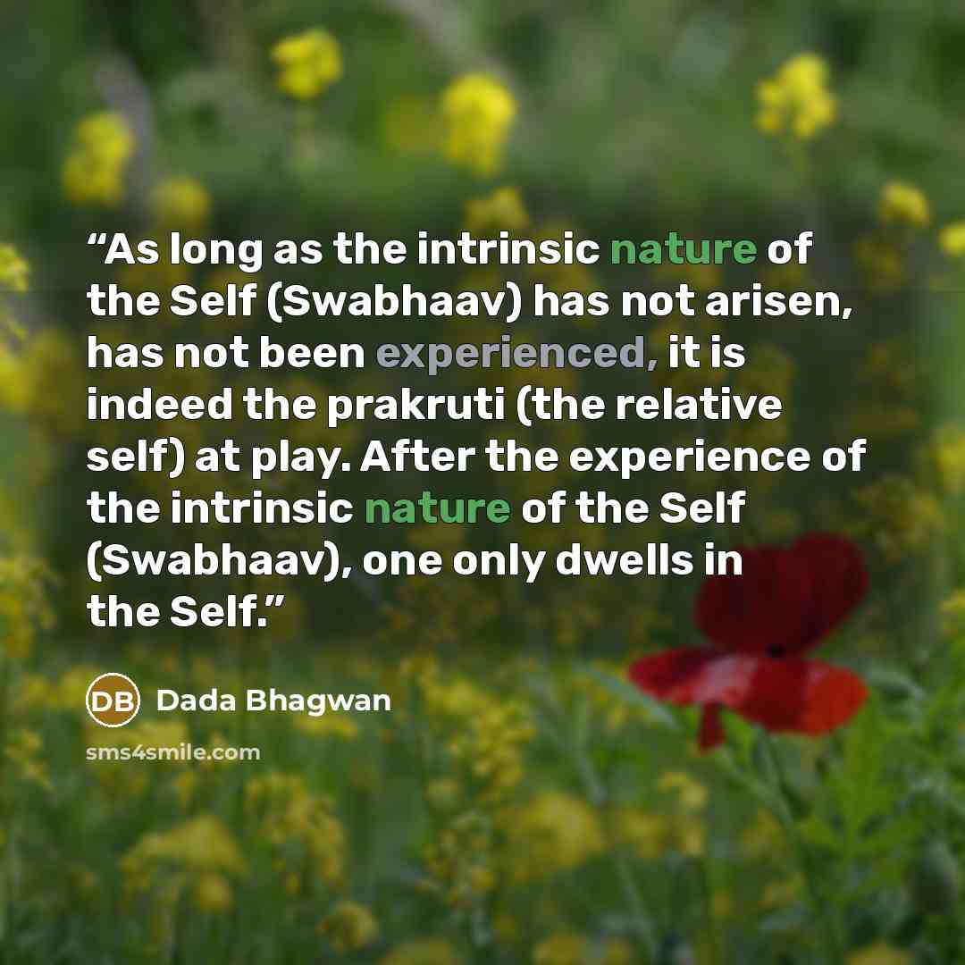 “As long as the intrinsic nature of the Self (Swabhaav) has not arisen, has not been experienced, it is indeed the prakruti (the relative self) at play. After the experience of the intrinsic nature of the Self (Swabhaav), one only dwells in the Self.” quote by Dada Bhagwan