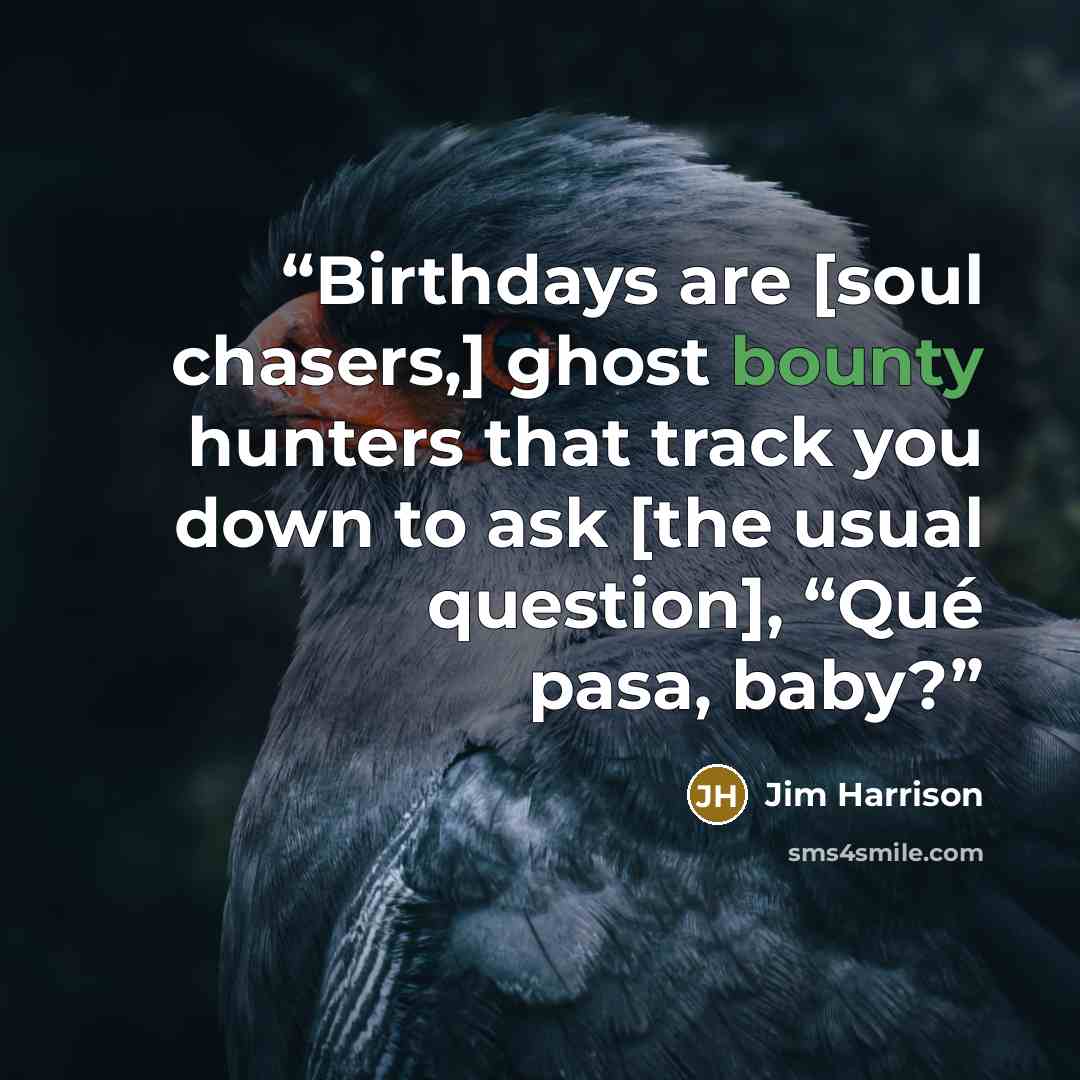“Birthdays are [soul chasers,] ghost bounty hunters that track you down to ask [the usual question], “Qué pasa, baby?” quote by Jim Harrison