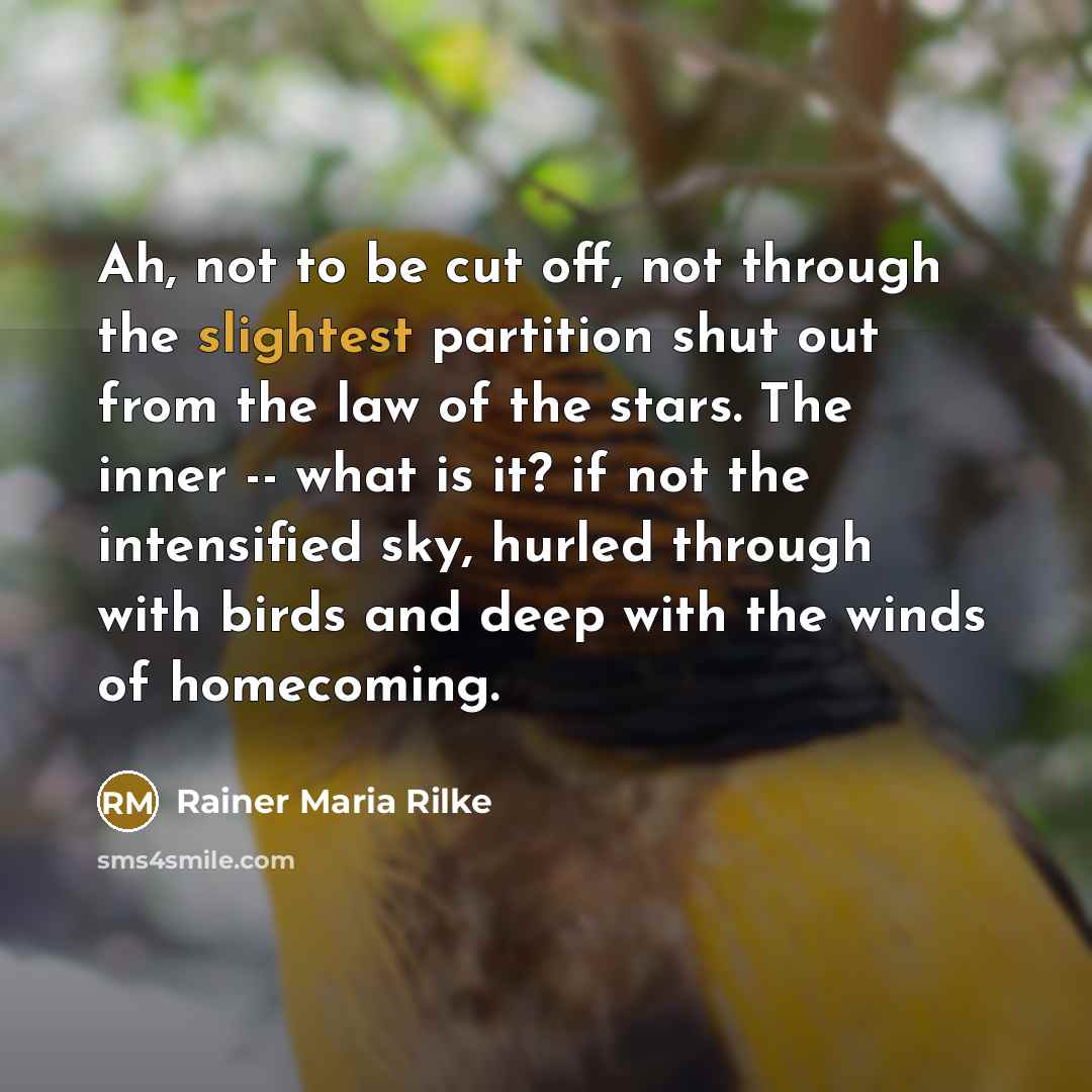 “Ah, not to be cut off, not through the slightest partition shut out from the law of the stars. The inner -- what is it? if not the intensified sky, hurled through with birds and deep with the winds of homecoming.” quote by Rainer Maria Rilke