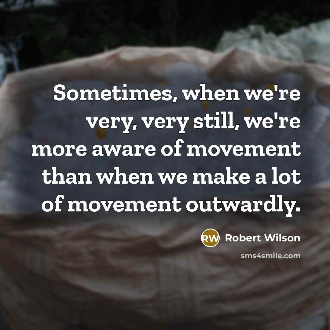 “Sometimes, when we're very, very still, we're more aware of movement than when we make a lot of movement outwardly.” quote by Robert Wilson