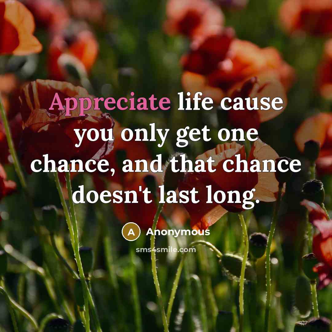 “Appreciate life cause you only get one chance, and that chance doesn't last long.” quote by Anonymous