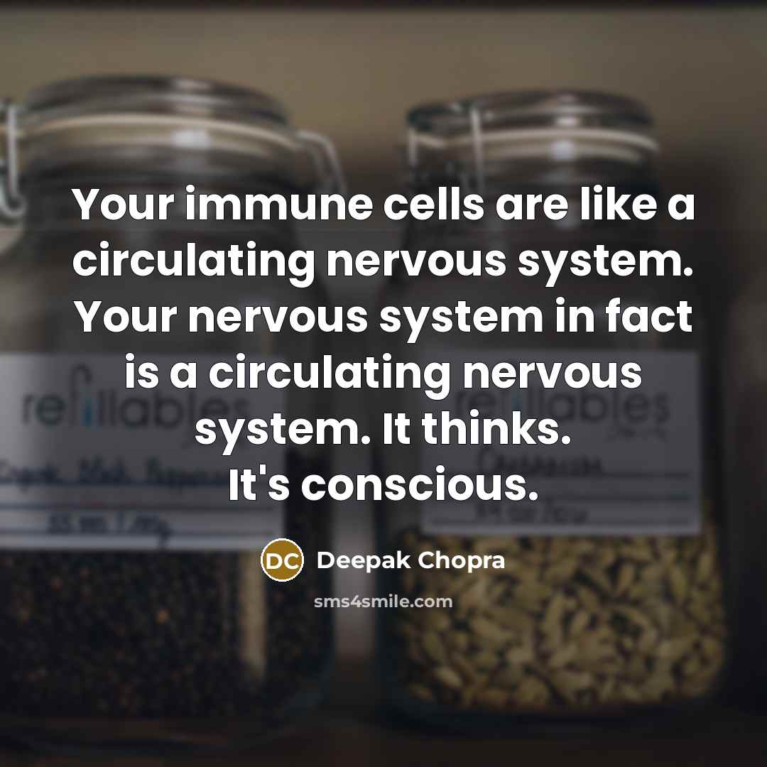 “Your immune cells are like a circulating nervous system. Your nervous system in fact is a circulating nervous system. It thinks. It's conscious.” quote by Deepak Chopra