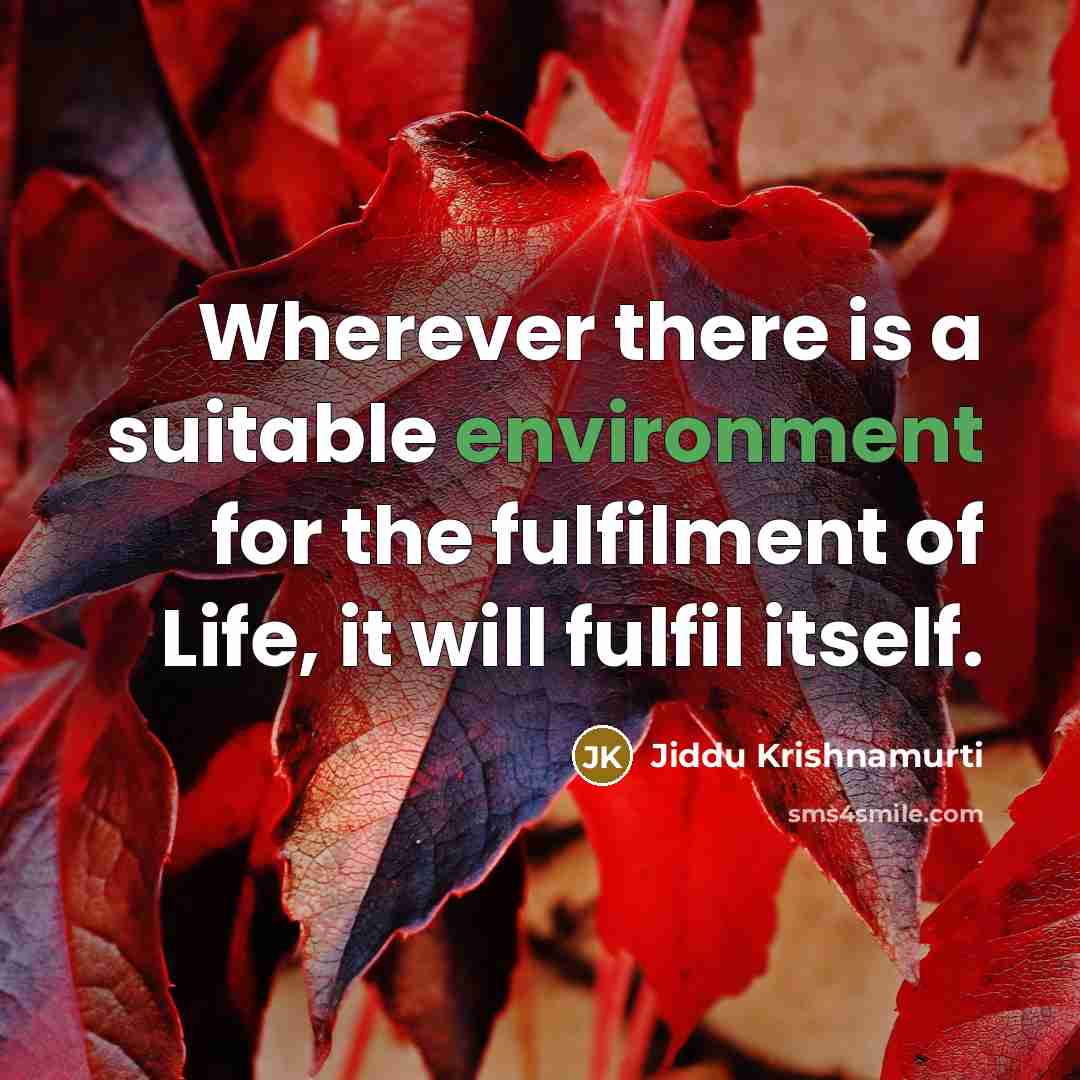 “Wherever there is a suitable environment for the fulfilment of Life, it will fulfil itself.” quote by Jiddu Krishnamurti