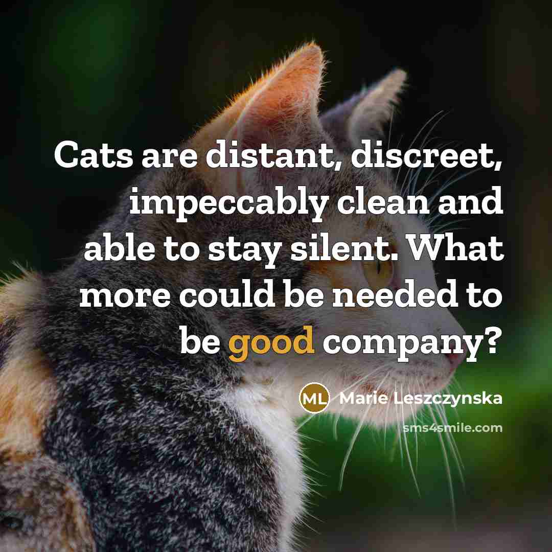 “Cats are distant, discreet, impeccably clean and able to stay silent. What more could be needed to be good company?” quote by Marie Leszczynska