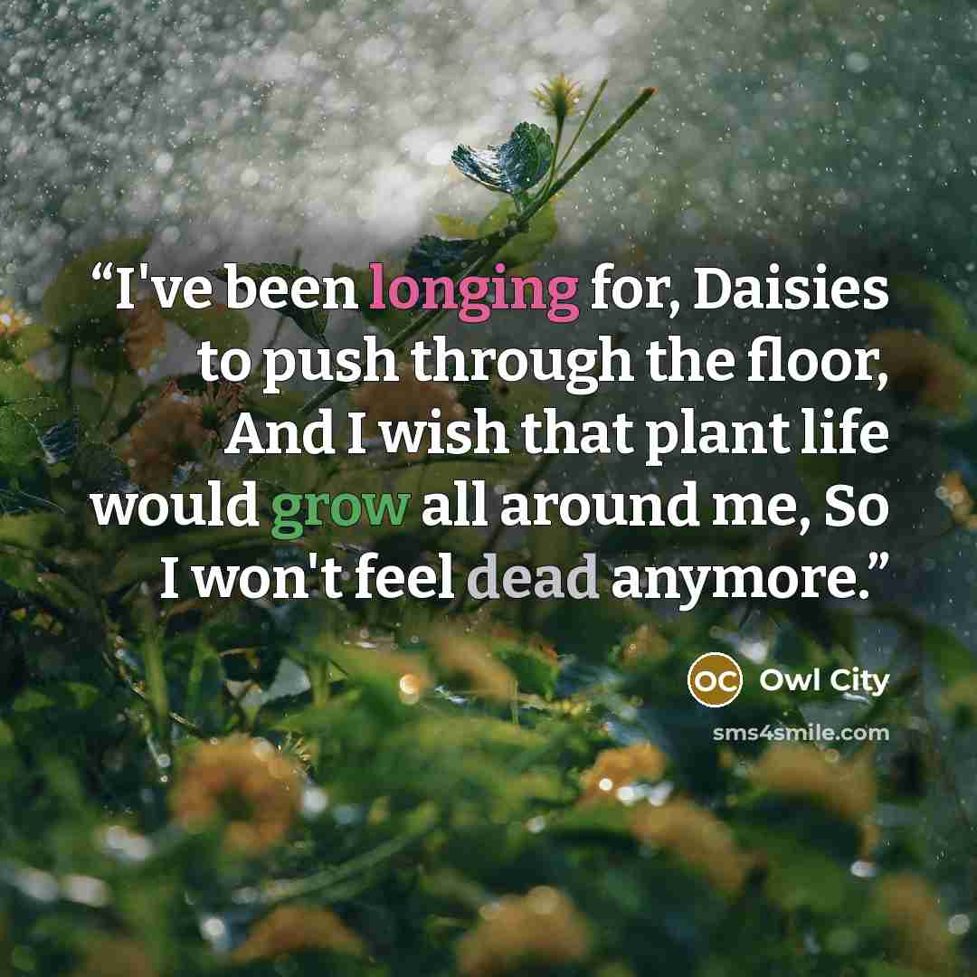 “I've been longing for, Daisies to push through the floor, And I wish that plant life would grow all around me, So I won't feel dead anymore.” quote by Owl City