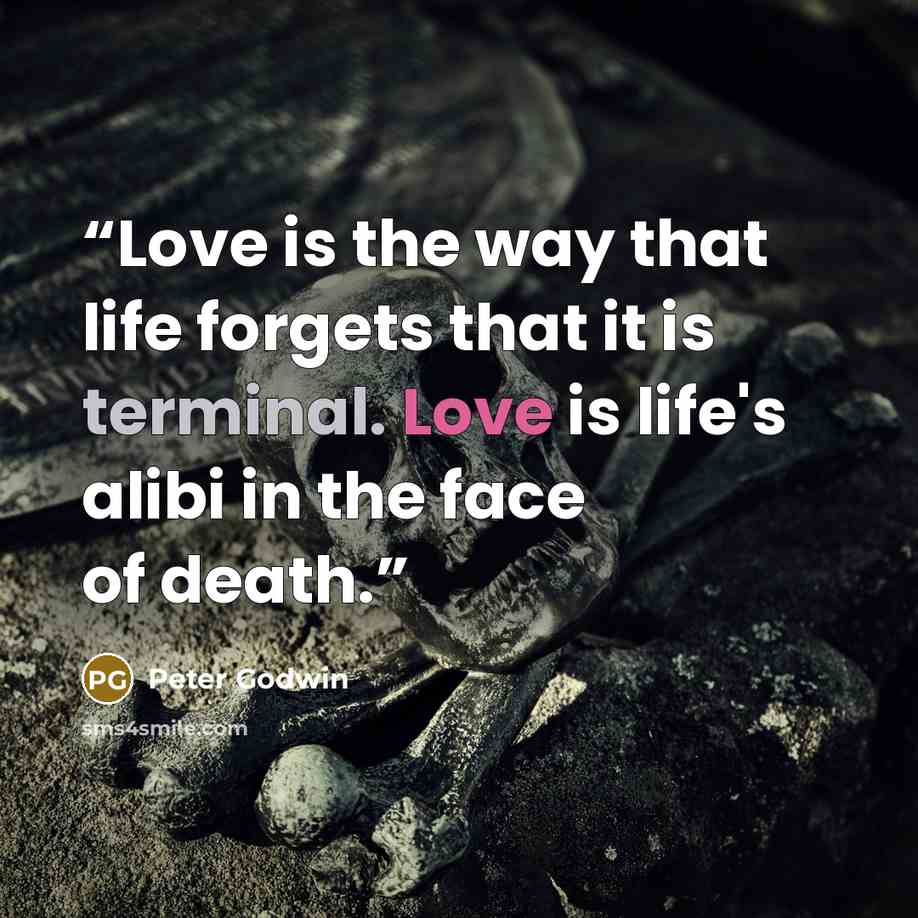 “Love is the way that life forgets that it is terminal. Love is life's alibi in the face of death.” quote by Peter Godwin