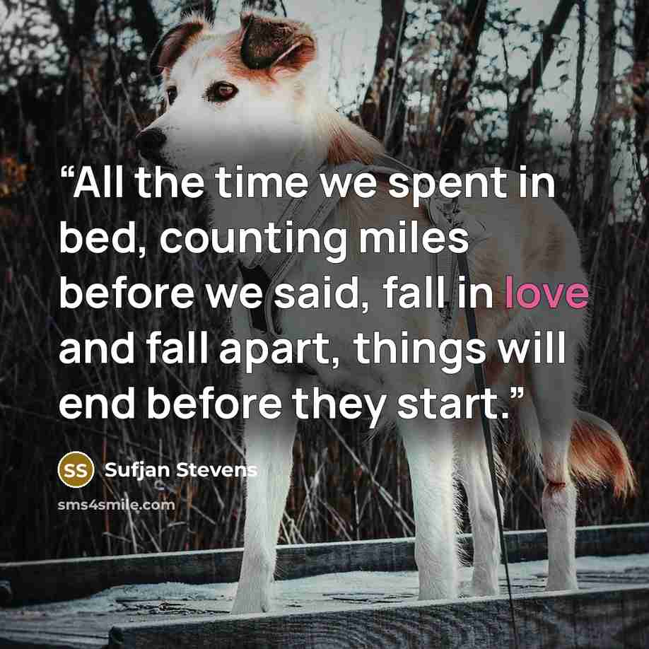 “All the time we spent in bed, counting miles before we said, fall in love and fall apart, things will end before they start.” quote by Sufjan Stevens