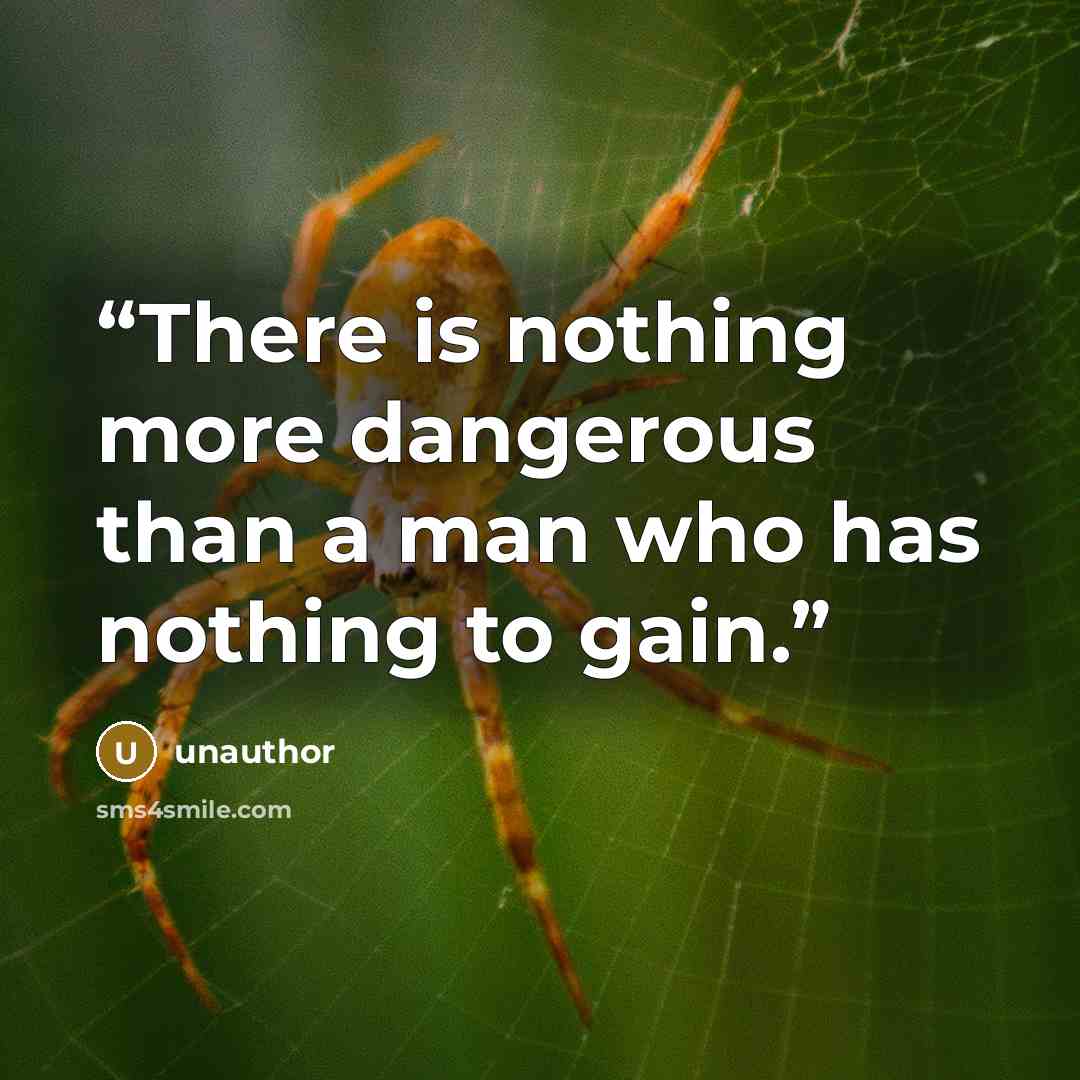 “There is nothing more dangerous than a man who has nothing to gain.” quote by unauthor
