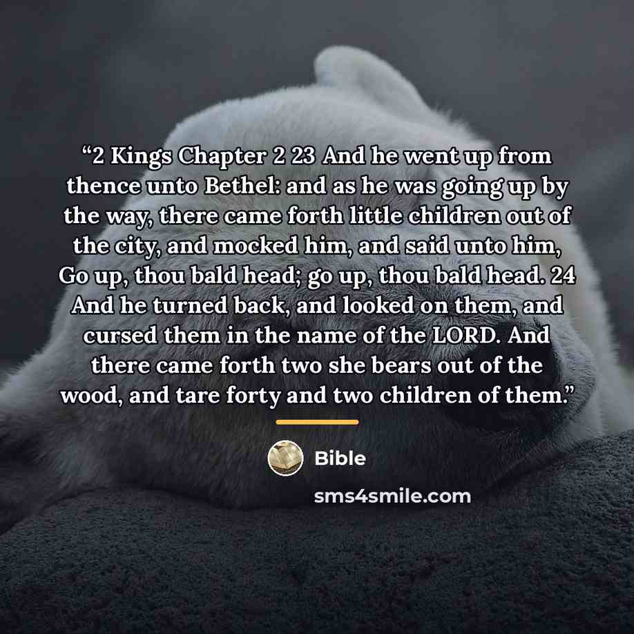 “2 Kings Chapter 2 23 And he went up from thence unto Bethel: and as he was going up by the way, there came forth little children out of the city, and mocked him, and said unto him, Go up, thou bald head; go up, thou bald head. 24 And he turned back, and looked on them, and cursed them in the name…” quote by bible