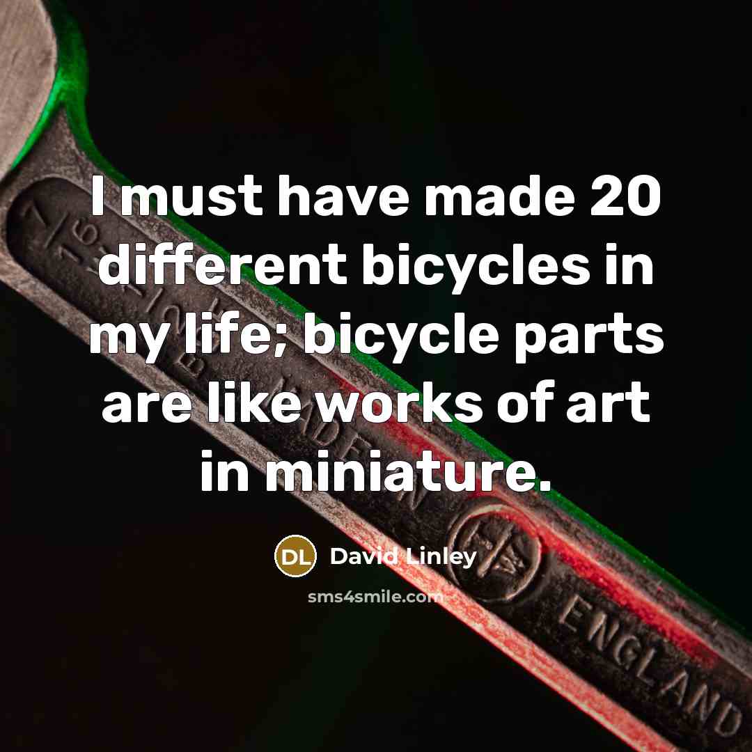“I must have made 20 different bicycles in my life; bicycle parts are like works of art in miniature.” quote by David Linley