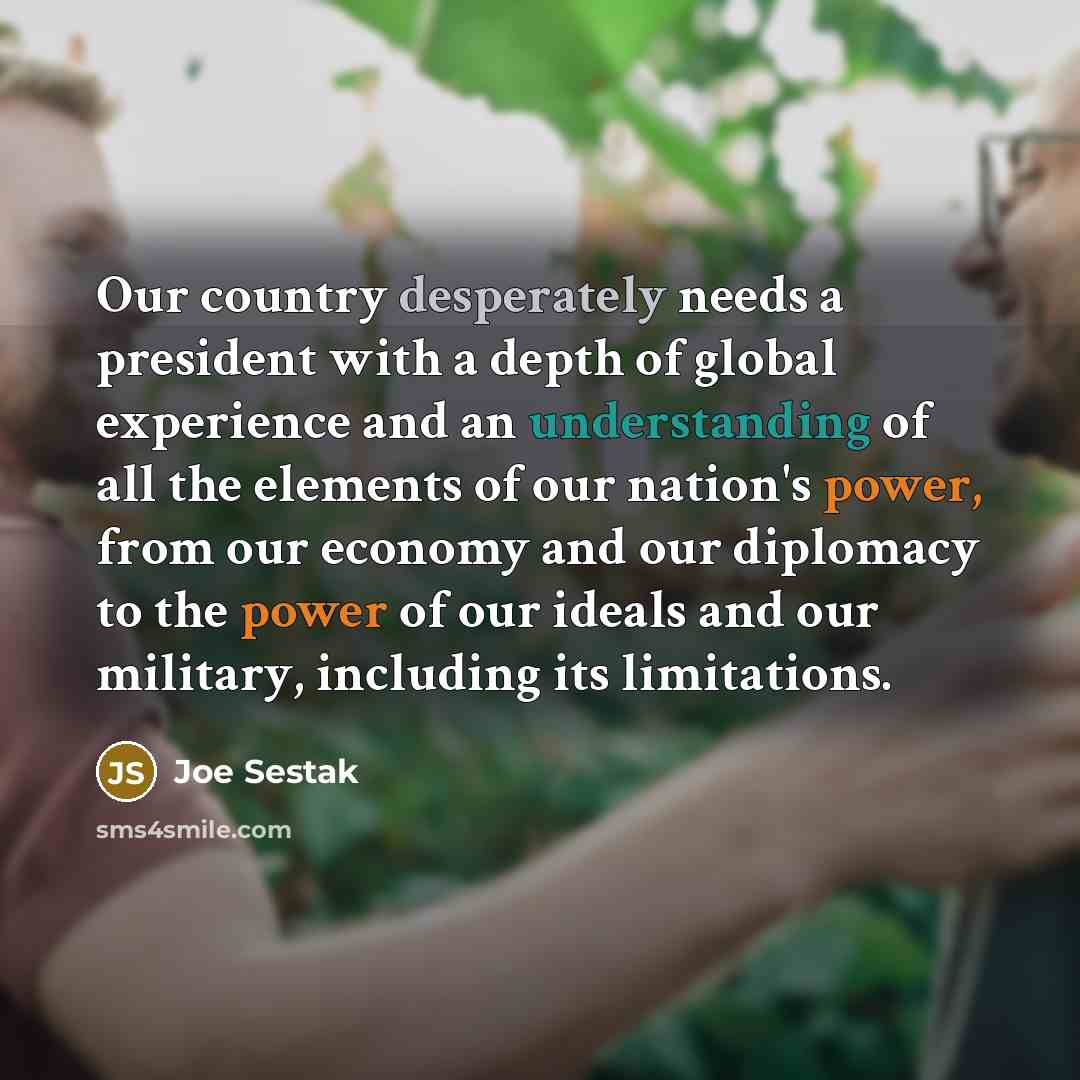 “Our country desperately needs a president with a depth of global experience and an understanding of all the elements of our nation's power, from our economy and our diplomacy to the power of our ideals and our military, including its limitations.” quote by Joe Sestak