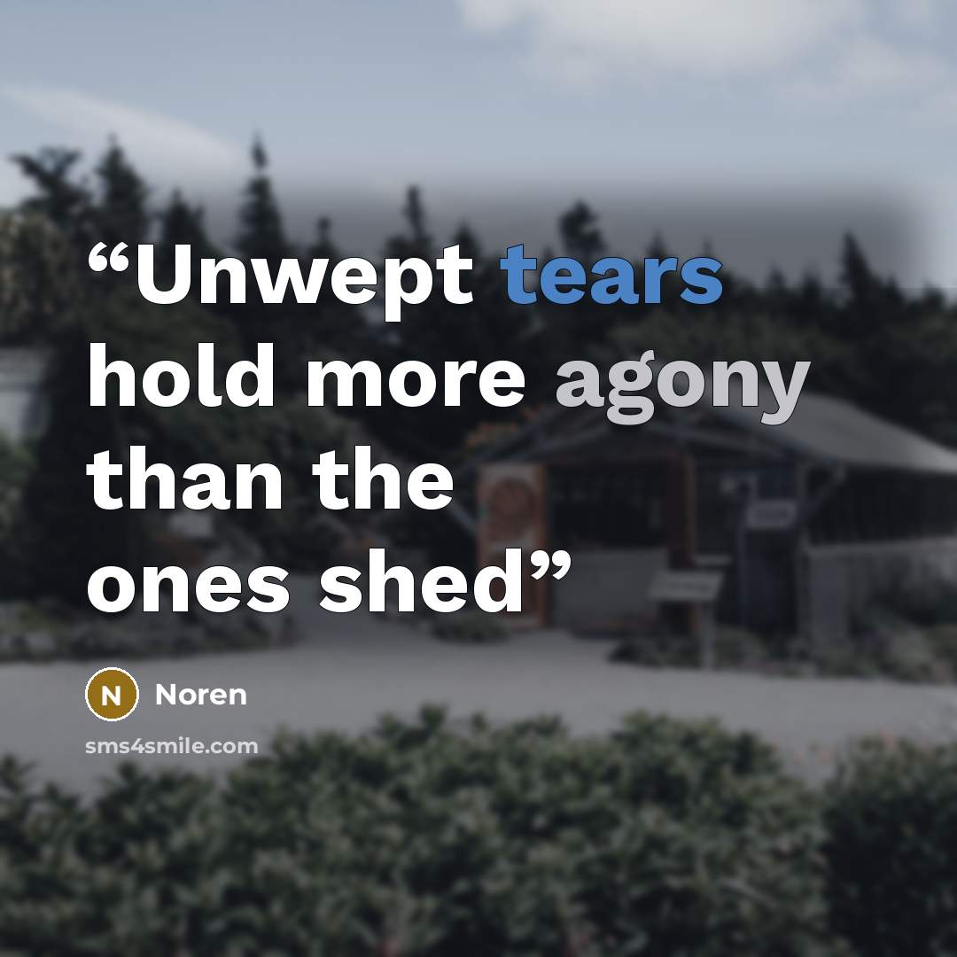 “Unwept tears hold more agony than the ones shed” quote by Noren
