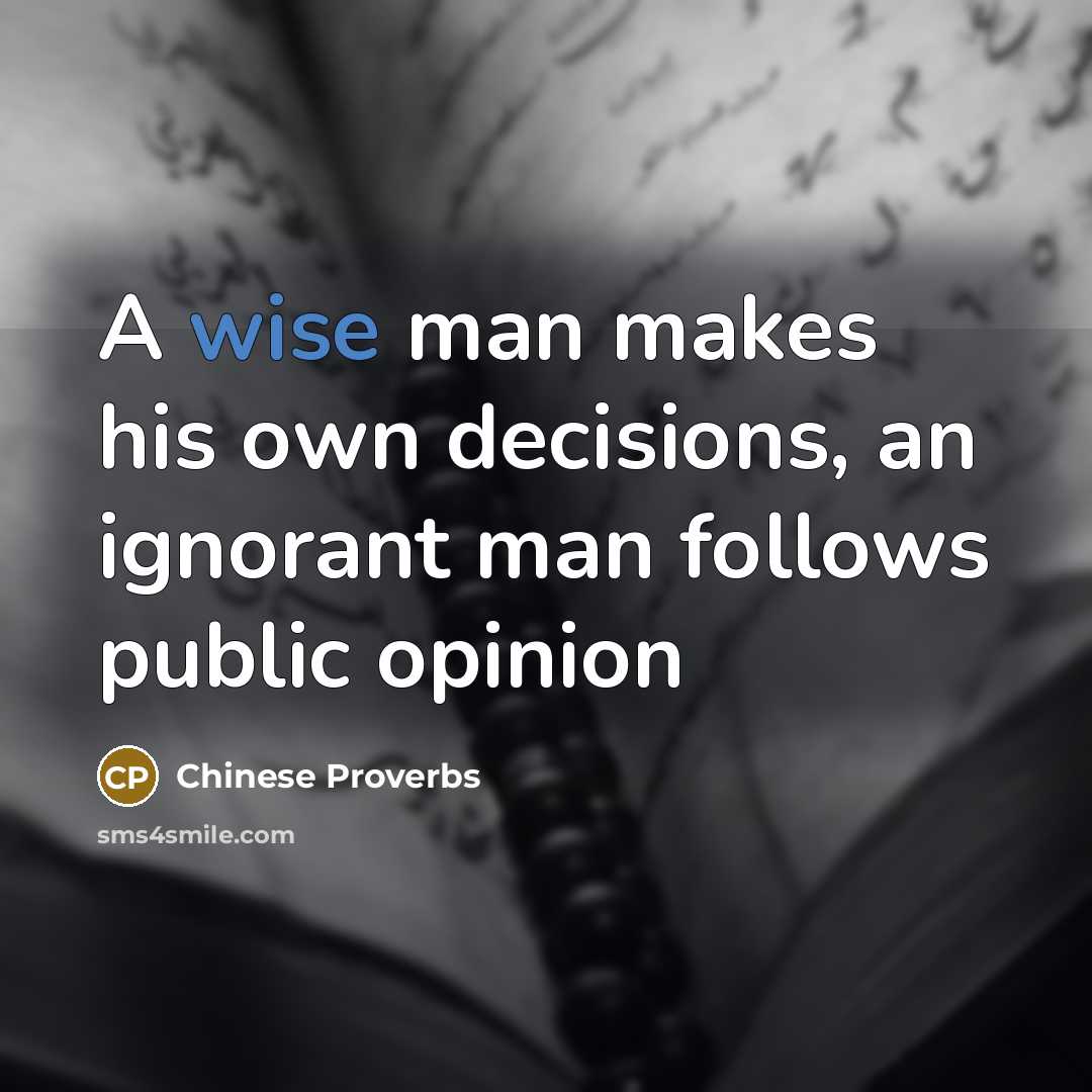 “A wise man makes his own decisions, an ignorant man follows public opinion” quote by Chinese Proverbs