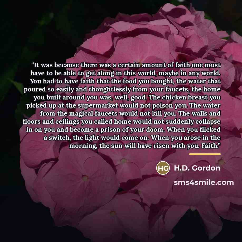 “It was because there was a certain amount of faith one must have to be able to get along in this world, maybe in any world. You had to have faith that the food you bought, the water that poured so easily and thoughtlessly from your faucets, the home you built around you was, well, good. The…” quote by H.D. Gordon