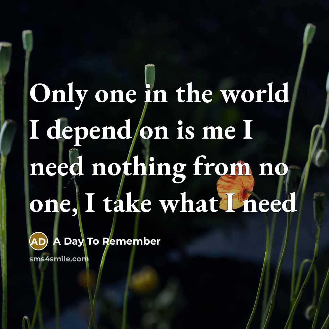 “Only one in the world I depend on is me I need nothing from no one, I take what I need” quote by A Day To Remember