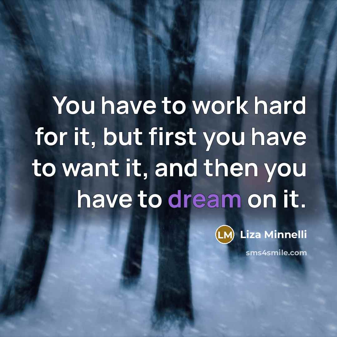 “You have to work hard for it, but first you have to want it, and then you have to dream on it.” quote by Liza Minnelli