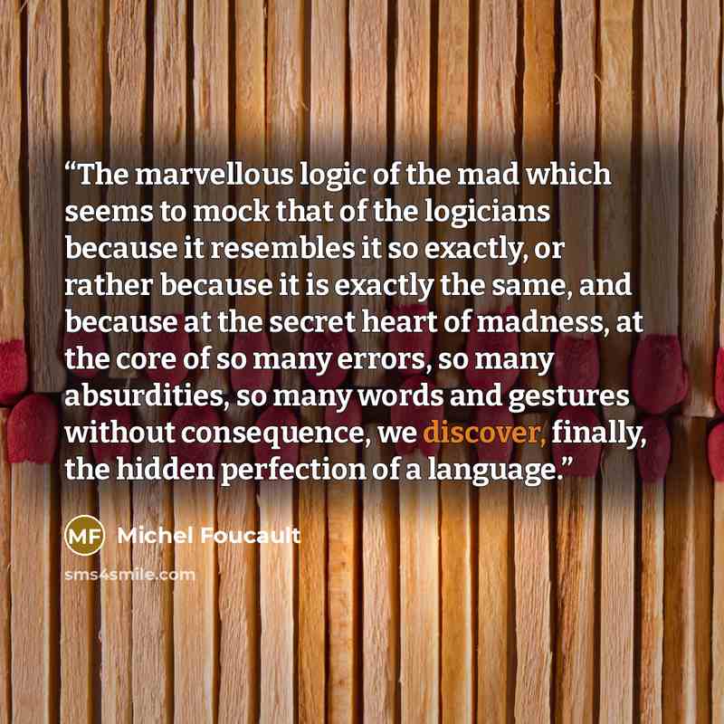 “The marvellous logic of the mad which seems to mock that of the logicians because it resembles it so exactly, or rather because it is exactly the same, and because at the secret heart of madness, at the core of so many errors, so many absurdities, so many words and gestures without consequence, we…” quote by Michel Foucault
