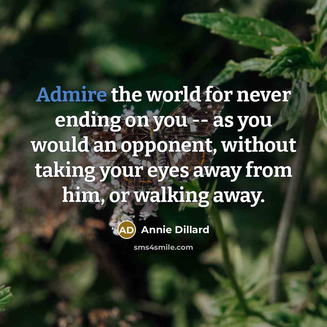 “Admire the world for never ending on you -- as you would an opponent, without taking your eyes away from him, or walking away.” quote by Annie Dillard