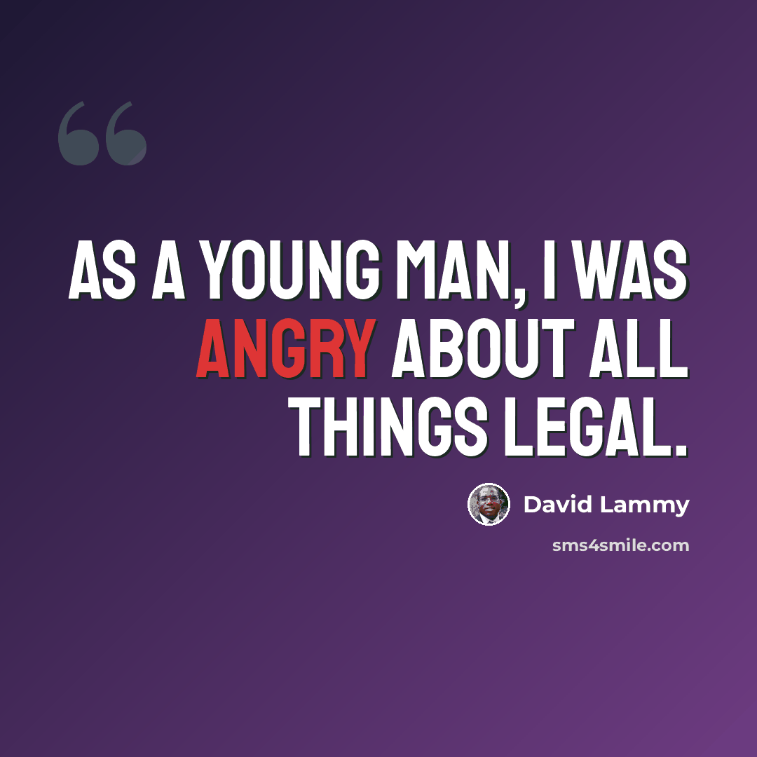 “As a young man, I was angry about all things legal.” quote by David Lammy