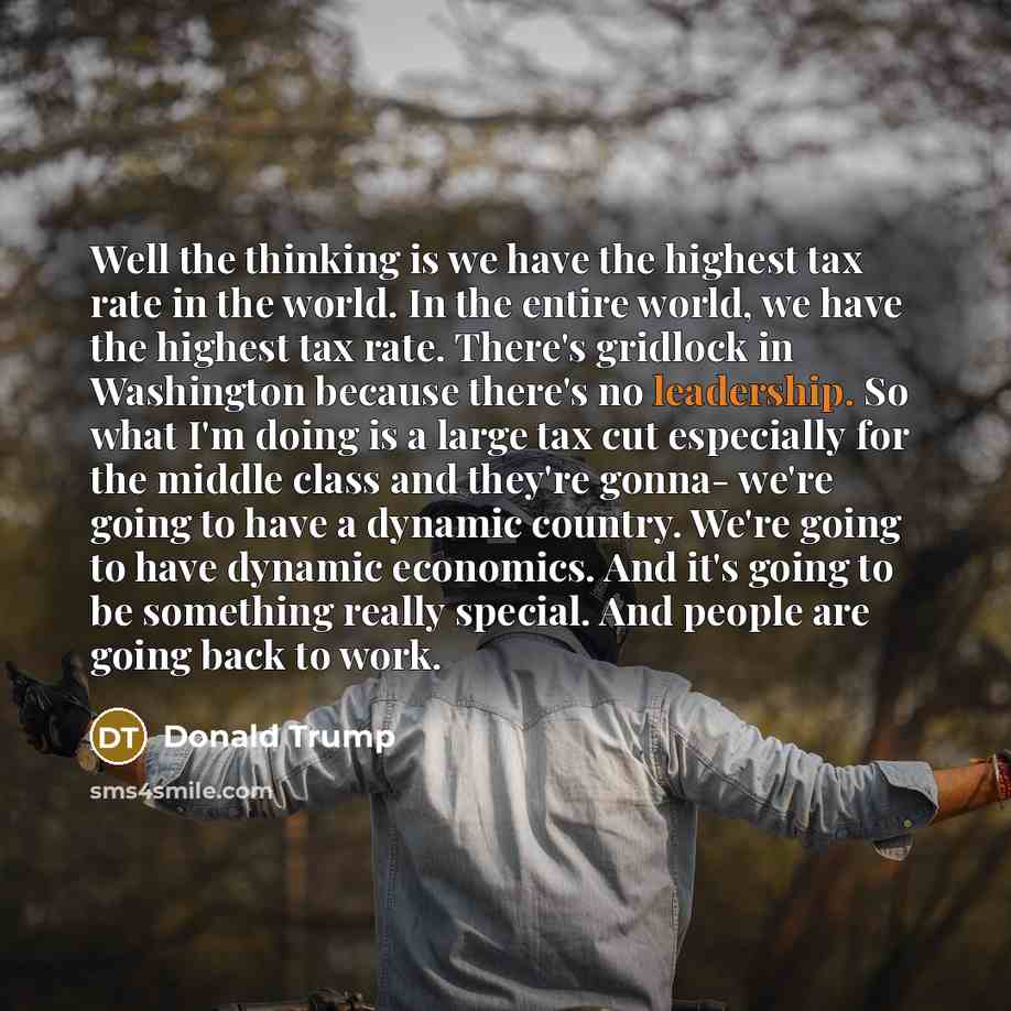 “Well the thinking is we have the highest tax rate in the world. In the entire world, we have the highest tax rate. There's gridlock in Washington because there's no leadership. So what I'm doing is a large tax cut especially for the middle class and they're gonna- we're going to have a dynamic…” quote by Donald Trump