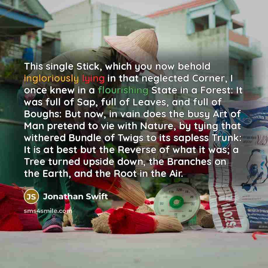 “This single Stick, which you now behold ingloriously lying in that neglected Corner, I once knew in a flourishing State in a Forest: It was full of Sap, full of Leaves, and full of Boughs: But now, in vain does the busy Art of Man pretend to vie with Nature, by tying that withered Bundle of Twigs…” quote by Jonathan Swift
