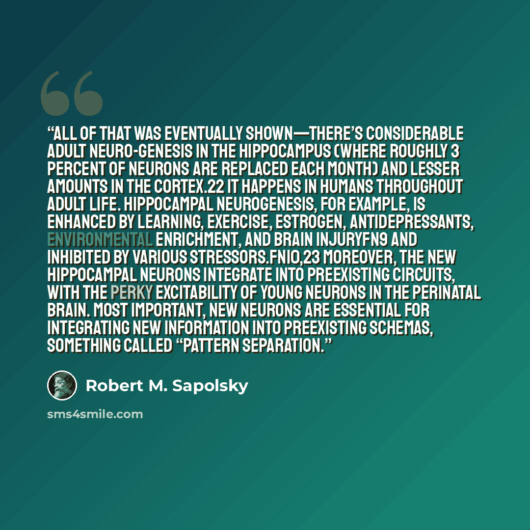 “All of that was eventually shown—there’s considerable adult neuro-genesis in the hippocampus (where roughly 3 percent of neurons are replaced each month) and lesser amounts in the cortex.22 It happens in humans throughout adult life. Hippocampal neurogenesis, for example, is enhanced by learning…” quote by Robert M. Sapolsky