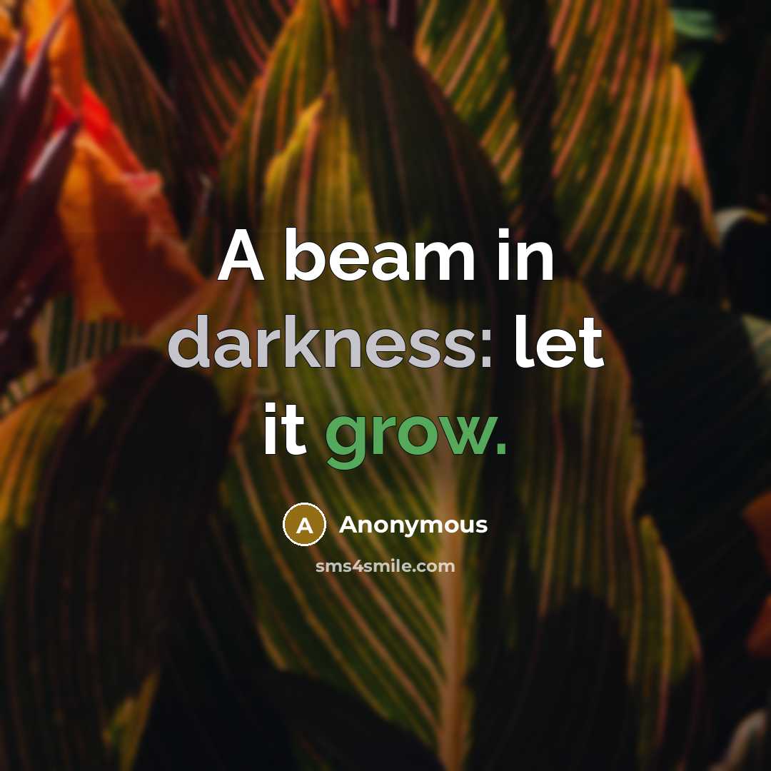 “A beam in darkness: let it grow.” quote by Anonymous