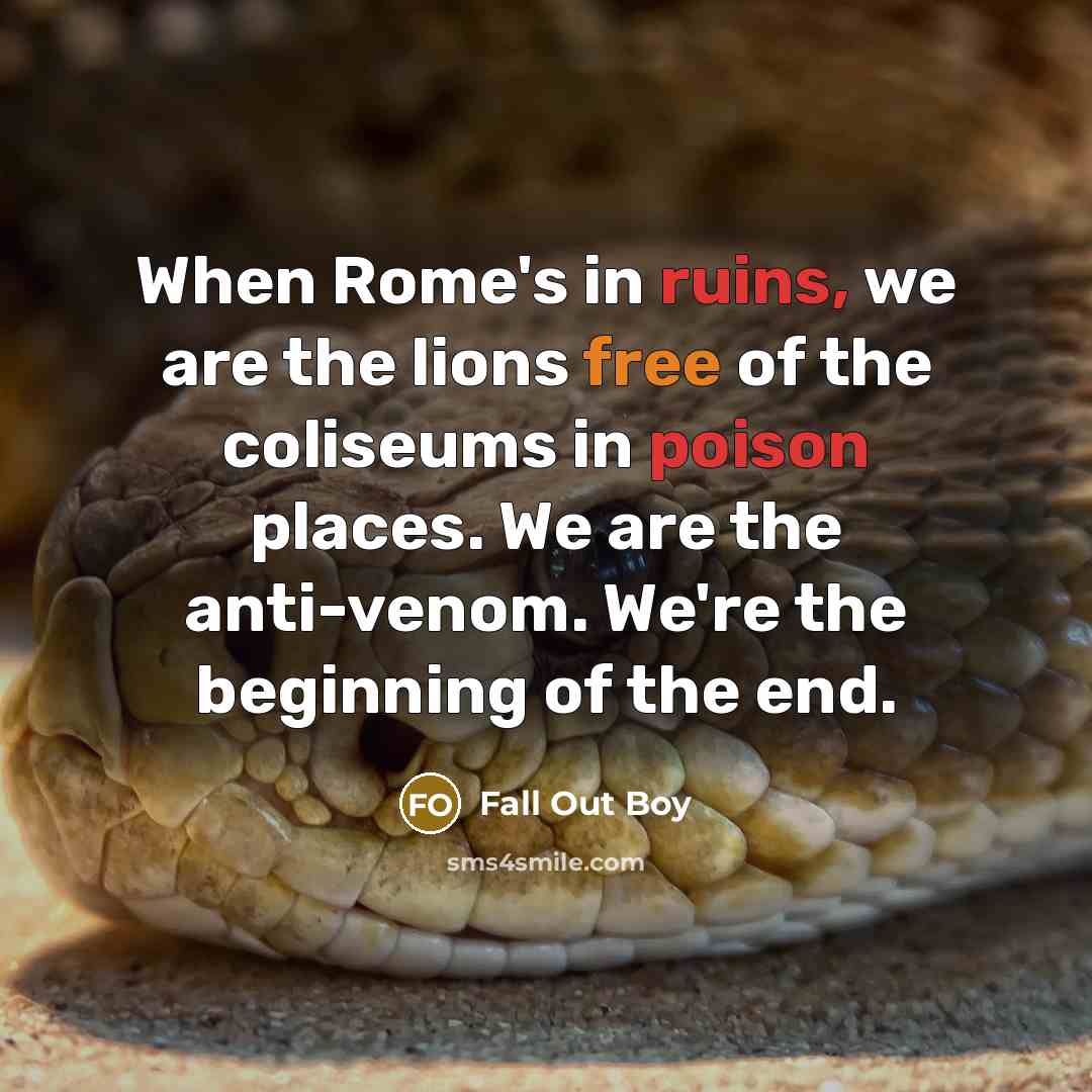 “When Rome's in ruins, we are the lions free of the coliseums in poison places. We are the anti-venom. We're the beginning of the end.” quote by Fall Out Boy