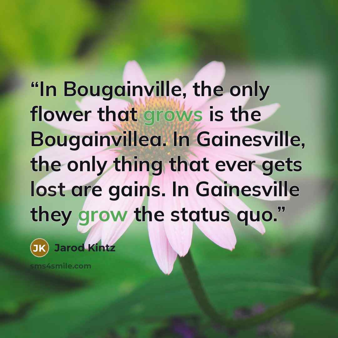 “In Bougainville, the only flower that grows is the Bougainvillea. In Gainesville, the only thing that ever gets lost are gains. In Gainesville they grow the status quo.” quote by Jarod Kintz