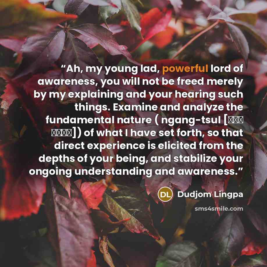“Ah, my young lad, powerful lord of awareness, you will not be freed merely by my explaining and your hearing such things. Examine and analyze the fundamental nature ( ngang-tsul [ངང་ ཙུལ་]) of what I have set forth, so that direct experience is elicited from the depths of your being, and stabilize…” quote by Dudjom Lingpa