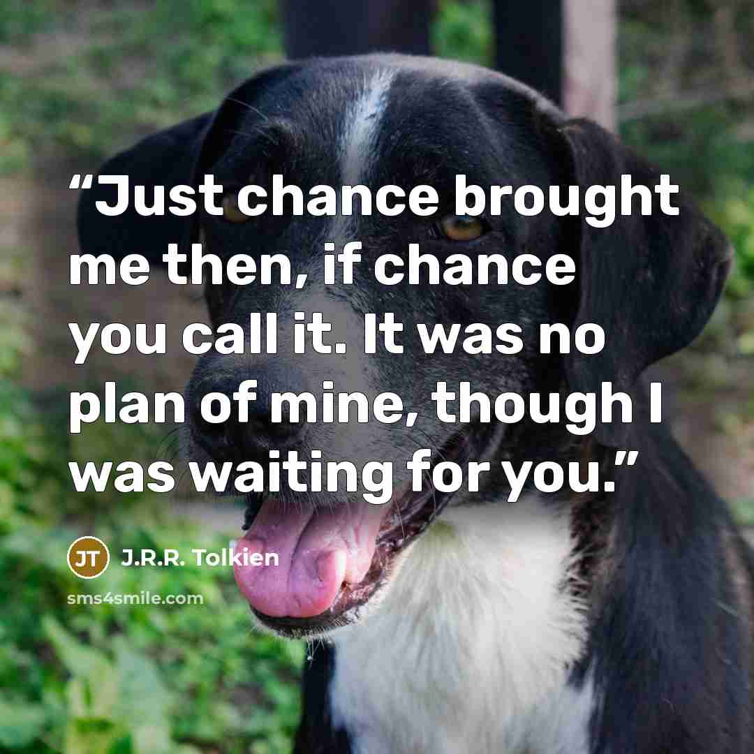 “Just chance brought me then, if chance you call it. It was no plan of mine, though I was waiting for you.” quote by J.R.R. Tolkien