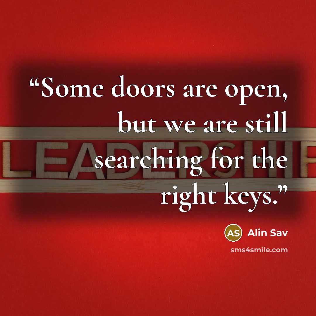 “Some doors are open, but we are still searching for the right keys.” quote by Alin Sav