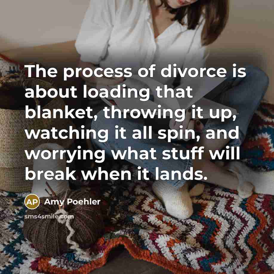 “The process of divorce is about loading that blanket, throwing it up, watching it all spin, and worrying what stuff will break when it lands.” quote by Amy Poehler