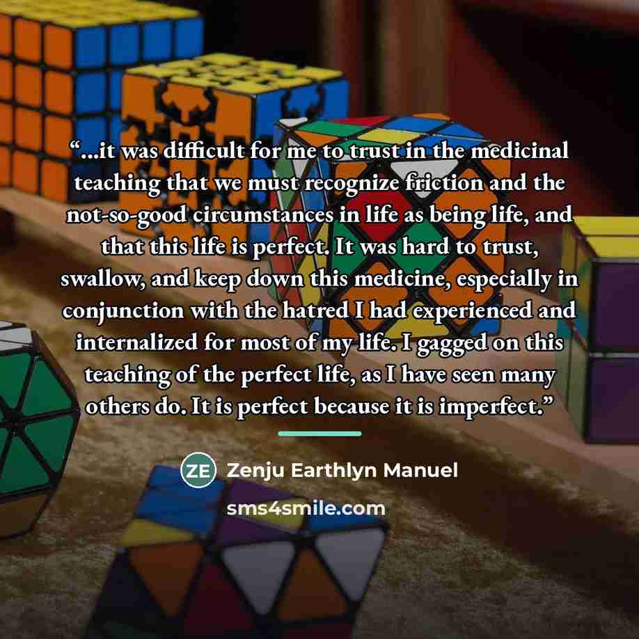 “...it was difficult for me to trust in the medicinal teaching that we must recognize friction and the not-so-good circumstances in life as being life, and that this life is perfect. It was hard to trust, swallow, and keep down this medicine, especially in conjunction with the hatred I had…” quote by Zenju Earthlyn Manuel