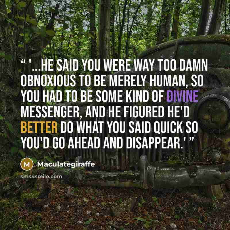 “'...he said you were way too damn obnoxious to be merely human, so you had to be some kind of divine messenger, and he figured he'd better do what you said quick so you'd go ahead and disappear.'” quote by Maculategiraffe