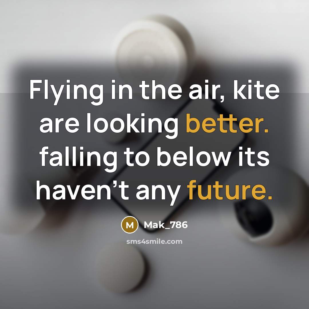 “Flying in the air, kite are looking better. falling to below its haven't any future.” quote by Mak_786