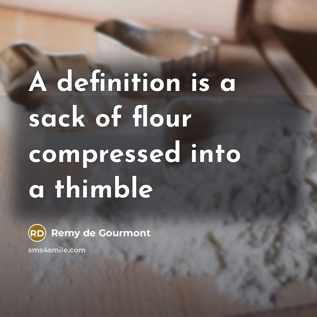 “A definition is a sack of flour compressed into a thimble” quote by Remy de Gourmont