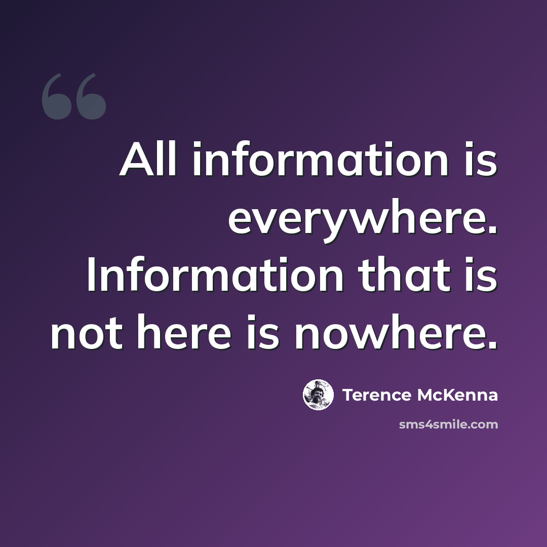 “All information is everywhere. Information that is not here is nowhere.” quote by Terence McKenna