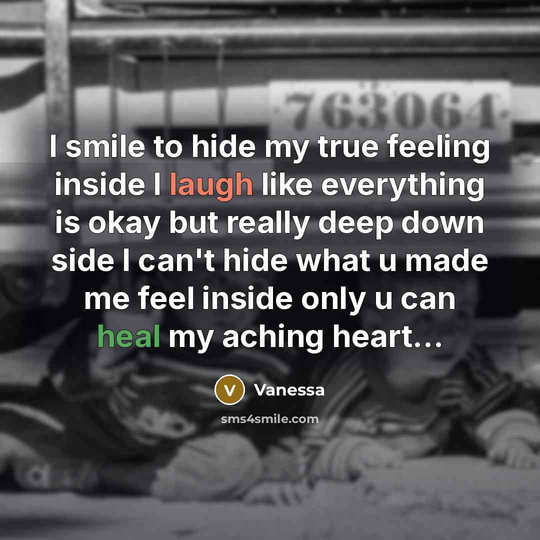 “I smile to hide my true feeling inside I laugh like everything is okay but really deep down side I can't hide what u made me feel inside only u can heal my aching heart…” quote by Vanessa