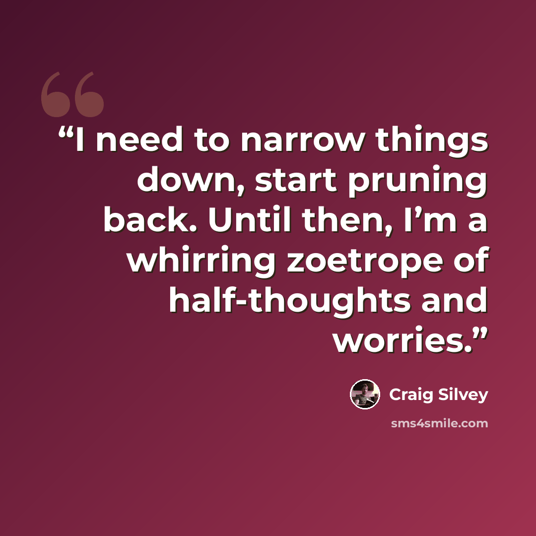 “I need to narrow things down, start pruning back. Until then, I’m a whirring zoetrope of half-thoughts and worries.” quote by Craig Silvey
