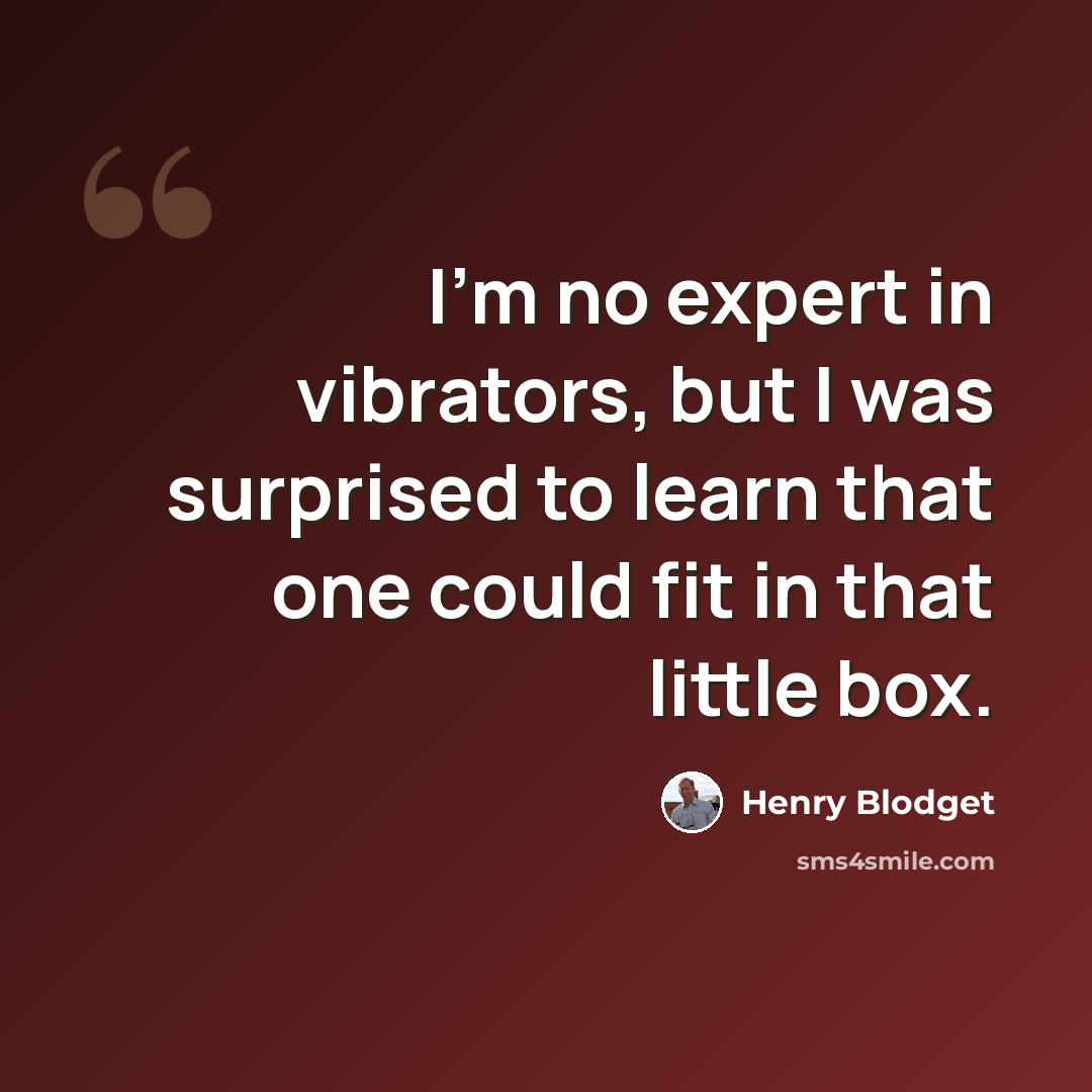 “I'm no expert in vibrators, but I was surprised to learn that one could fit in that little box.” quote by Henry Blodget